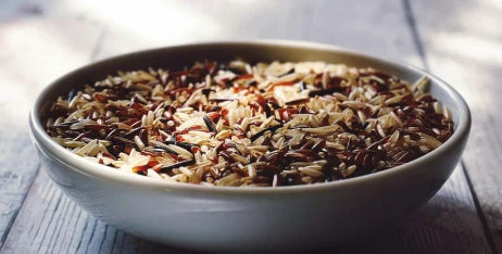 Brown Rice vs. White Rice in Pet Food — Which is better?