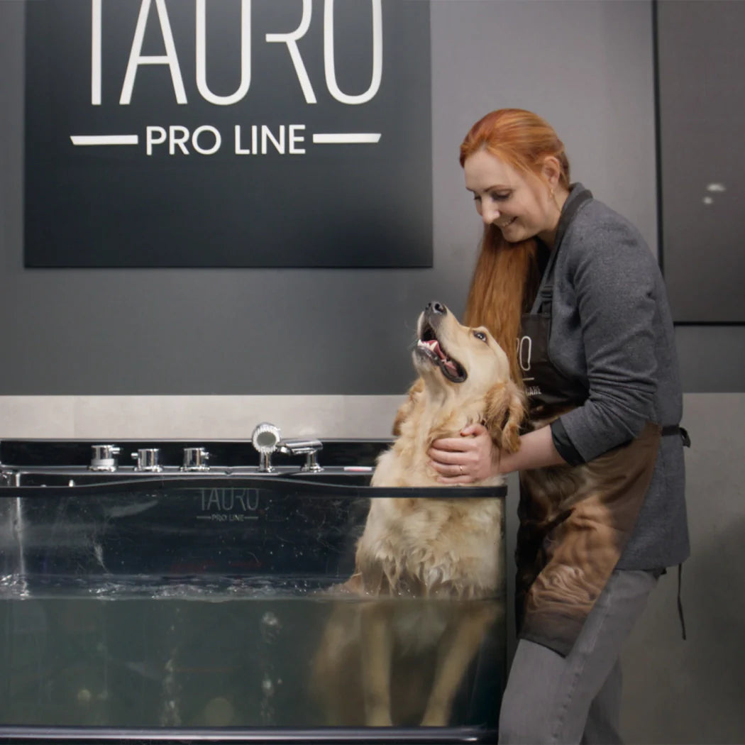 Bathing and drying techniques for pets