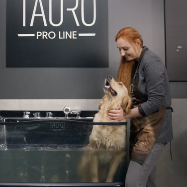 Bathing and drying techniques for pets