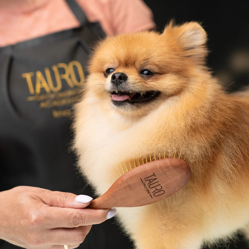 Essential grooming tools for coat care