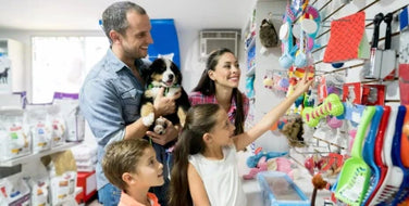 Finding the Right Pet Supplies: Specialty Pet Stores vs Big Box Retailers