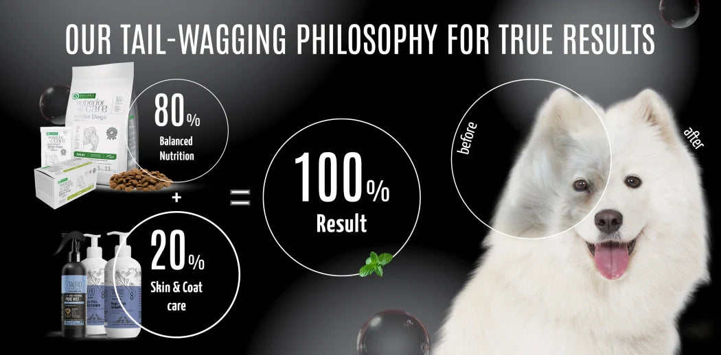 How proper nutrition affects your pet’s coat
