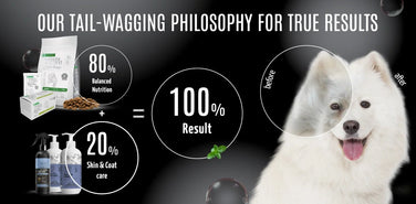 How proper nutrition affects your pet’s coat