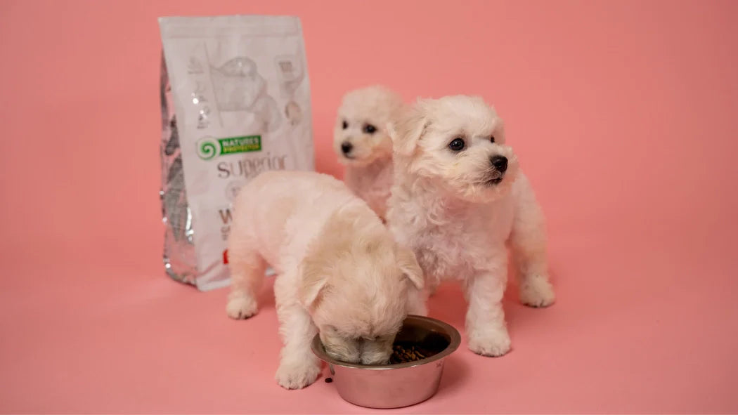 Join our breeders club!