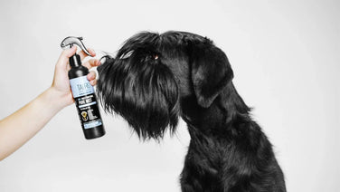 Do you need to clean your dogs ears?