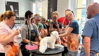 Your Guide to Starting a Grooming Salon: From Passion to Business