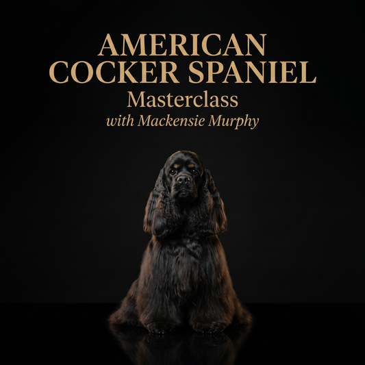 American Cocker Spaniel Masterclass — with Mackensie Murphy