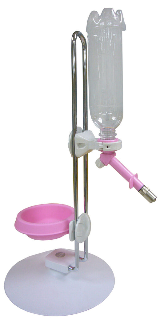 Dyl FOOD BOWL AND WATER BOTTLE STAND