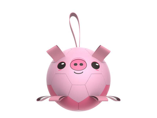 Inflatable toy for dogs