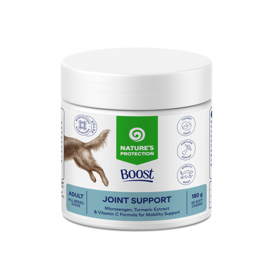 NATURE'S PROTECTION BOOST Joint Support Soft Chews supplement for dogs for joint support, 180 g