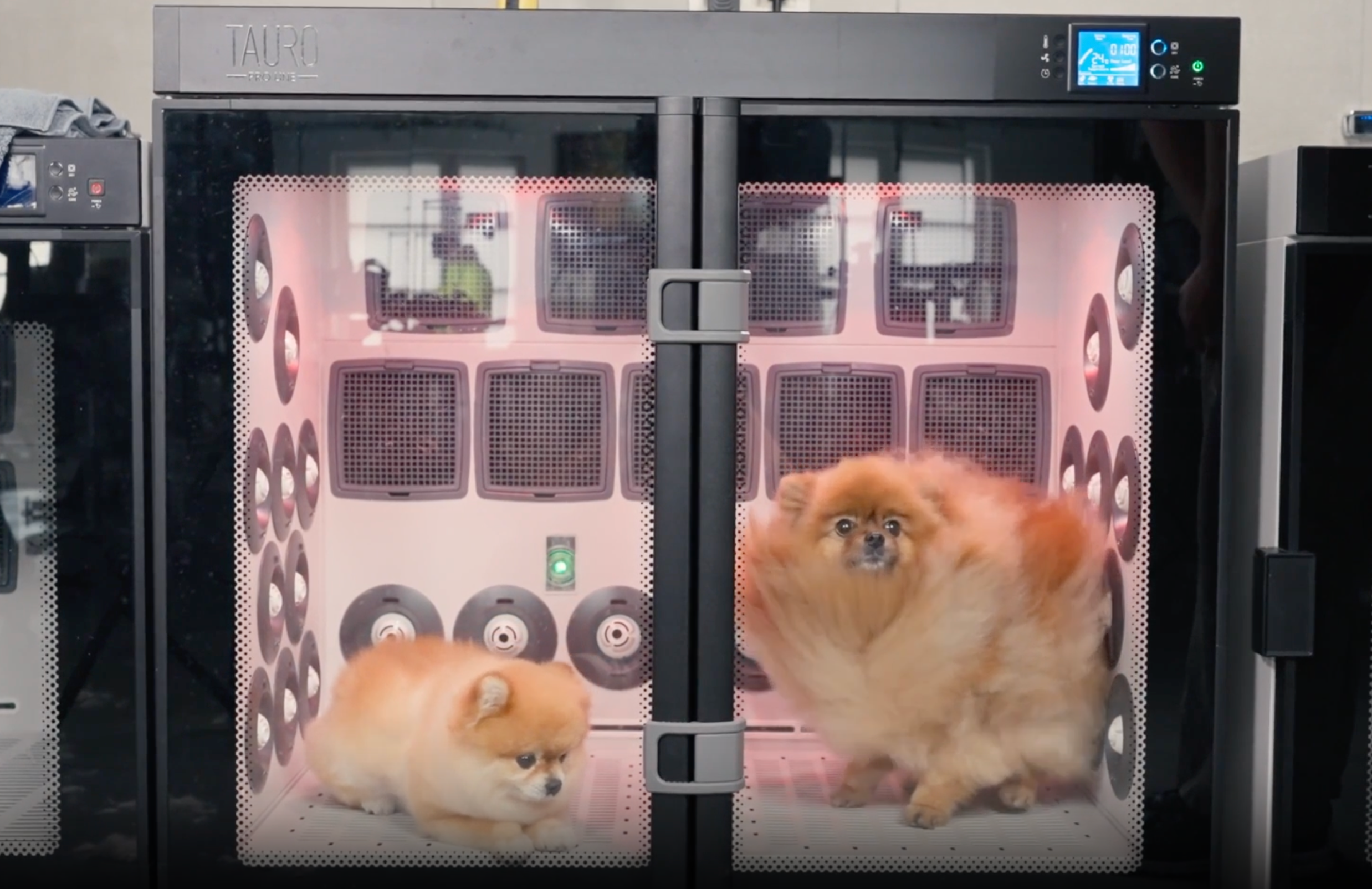 Įkelti vaizdo įrašą „“